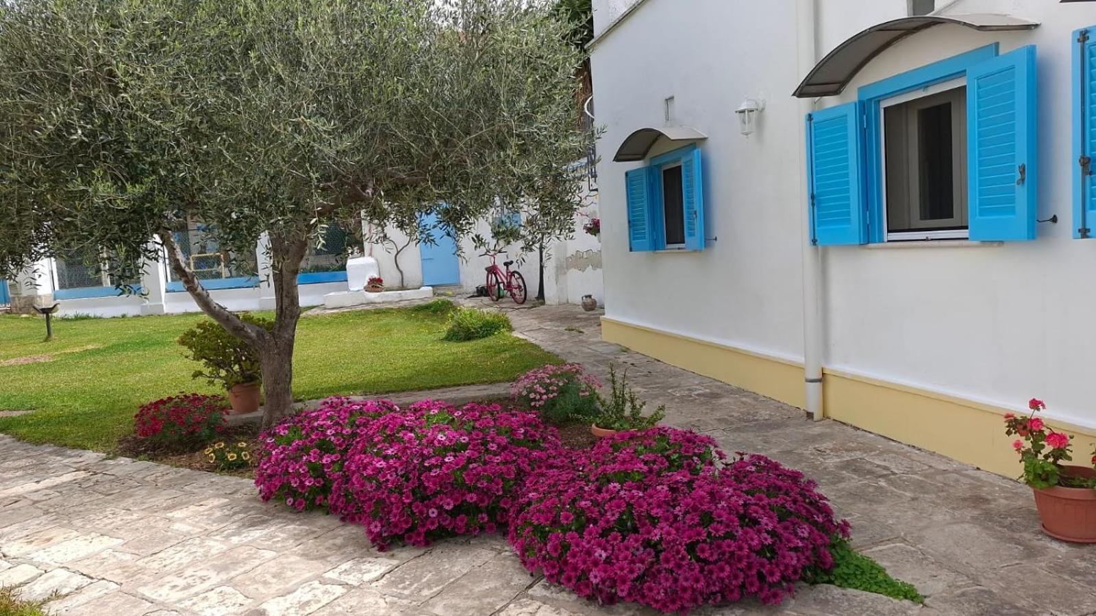 モーラ・ディ・バーリ Villino Tronchetto Bianco Bed & Breakfast エクステリア 写真