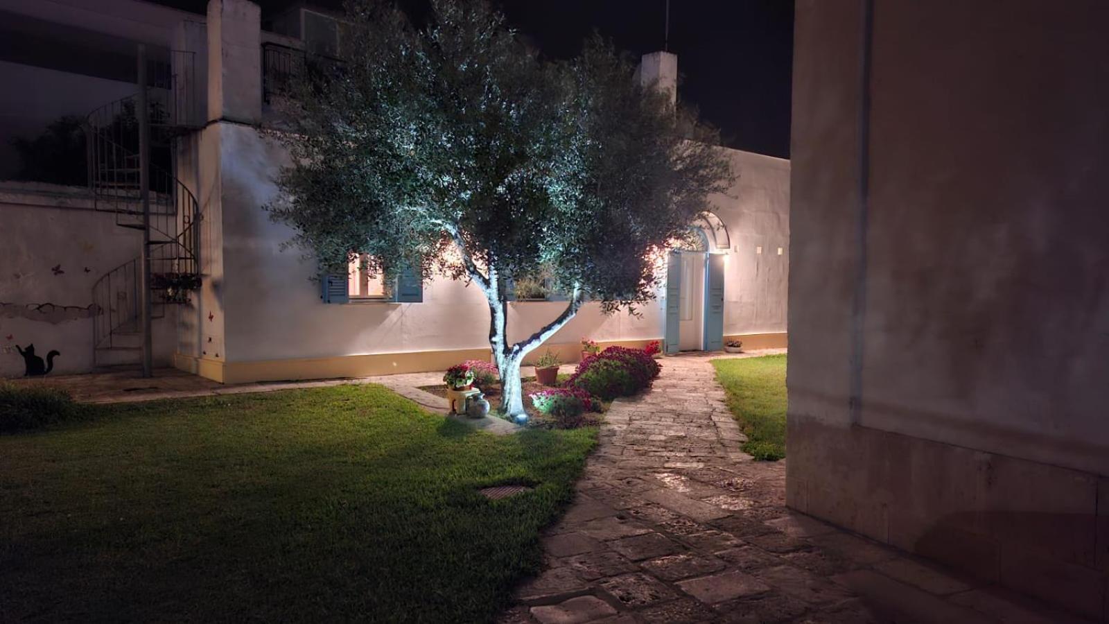 モーラ・ディ・バーリ Villino Tronchetto Bianco Bed & Breakfast エクステリア 写真
